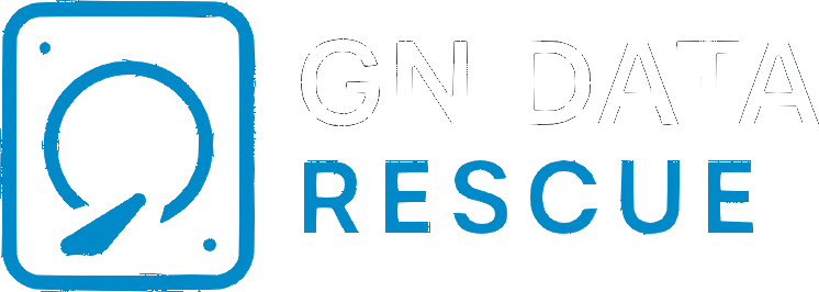 Datenrettung Gino Nachtwey Logo